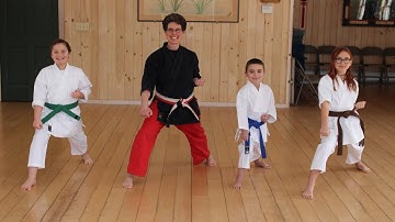 Gedan Barai - Karate Downward Block