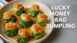 Lucky Money Bag Dumpling