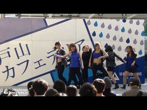 【わせおど】D 踊ってみた【早稲田祭2016 戸山カフェテリアステージ】