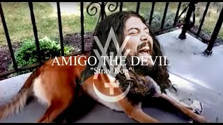 Watch Amigo The Devil Stray Dog video