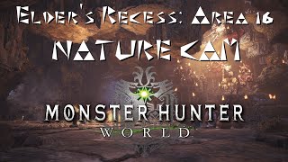 MHW: Elders Recess: Area 16 (Gajalaka Camp) Nature Cam