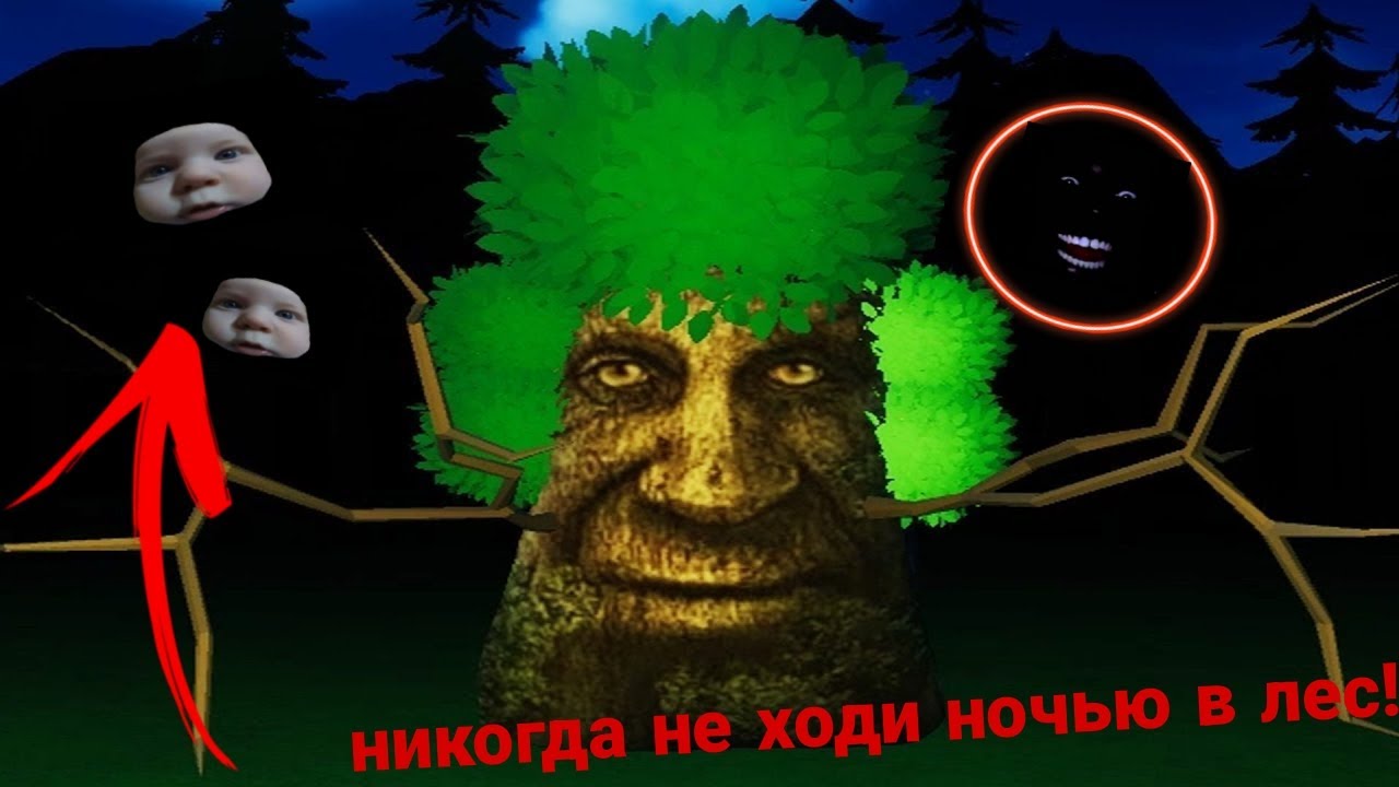 Встретил мудрого дуба в лесу, ночью! - YouTube