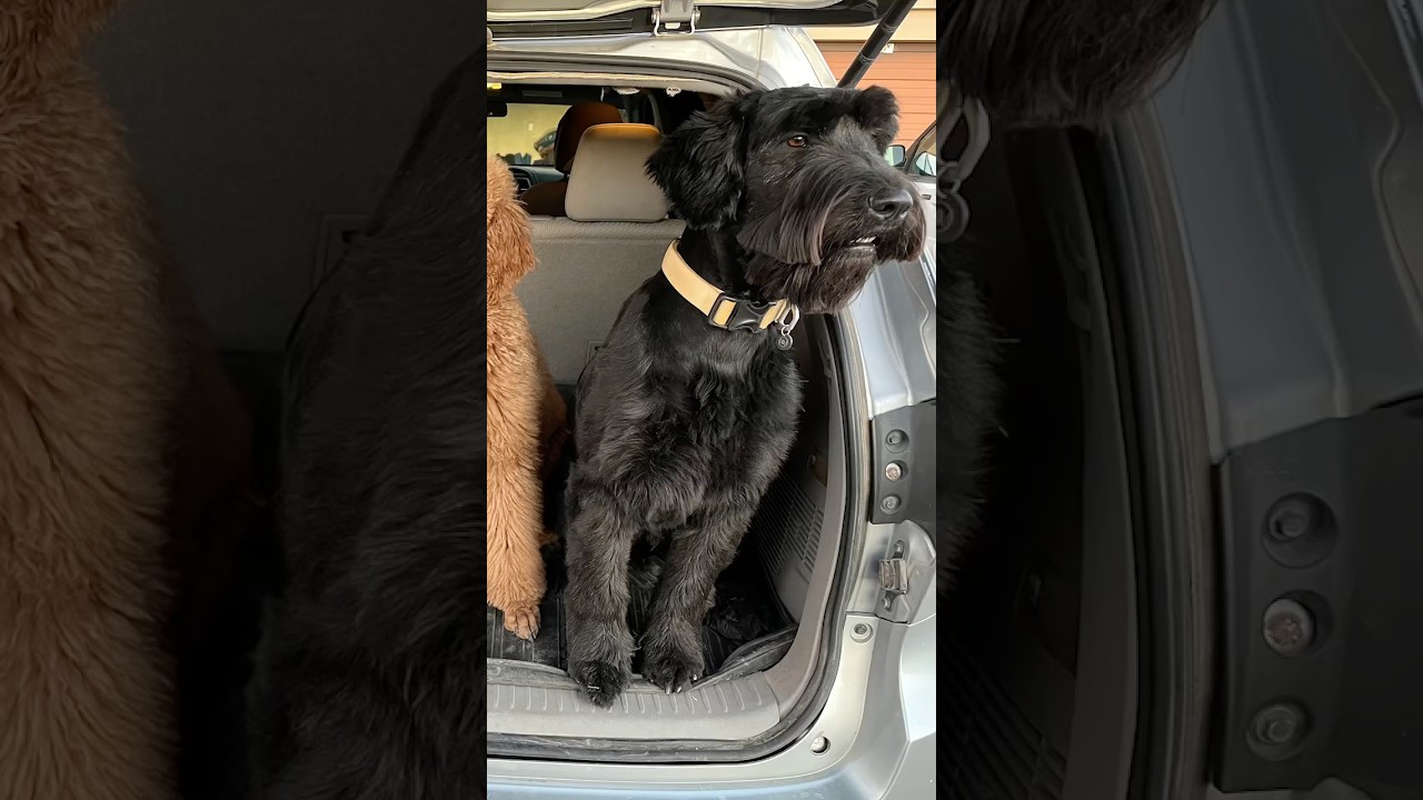 Davy ❤️ (part 1) 