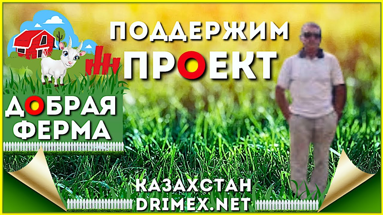 Поддержим Проект "Добрая Ферма" - YouTube