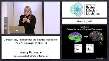 8.6 - Connectivity fingerprints predict the location of the VWFA (Saygin et al 2016)