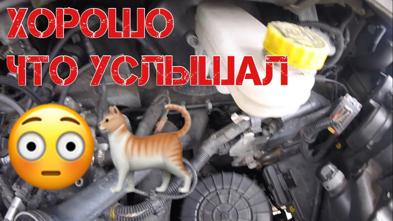 Котенок залез в двигатель