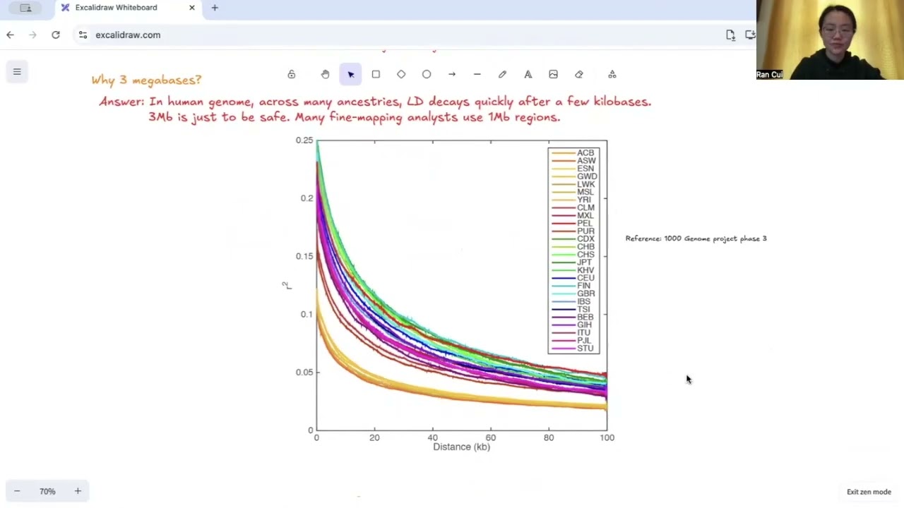 Mathematical motivation for fine mapping