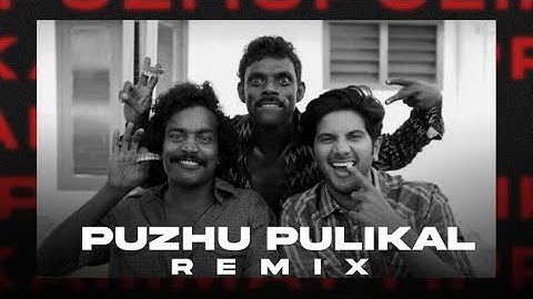 Puzhu Pulikal Remix | Kammatipaadam | Dulquer Salmaan, Rajeev Ravi | AJX