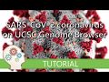 VISUALISE THE SARS-CoV-2 CORONAVIRUS GENOME - UCSC Genome Browser Tutorial series