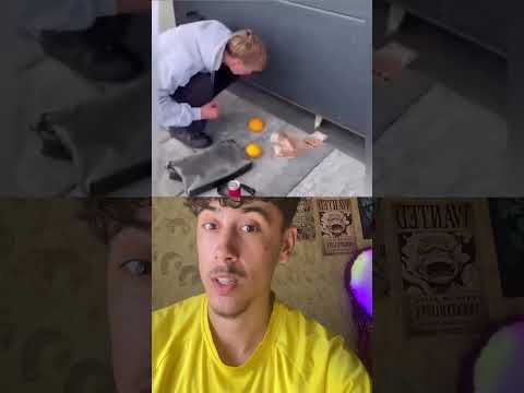 اش كيوقع نطماع