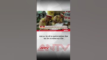 Dương tính với ma túy, lái xe khách khai uống rượu ngâm cây thuốc phiện | ANTV #shorts