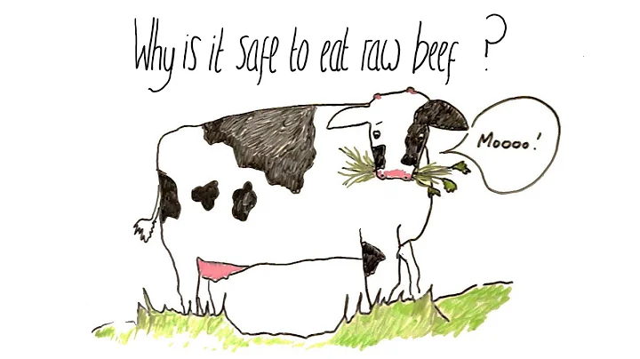 Why is it Safe to Eat Raw Beef?
