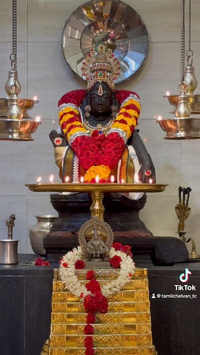 Swamiye Sharanam Ayyappa🫶🏾🏹🐅