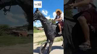 Saddle Up! You Won't Believe This Guy's Diy Horse #Shorts #Funny