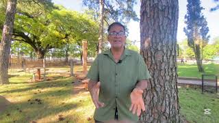 Docente dicta clases de apoyo gratuitas en una plaza