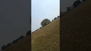 Dhani Ho Sab Dhan Bhojpuri Song Dj Remix Malai  shots trending viral bhojpuri song