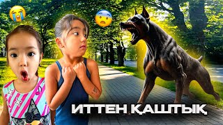 :      !   