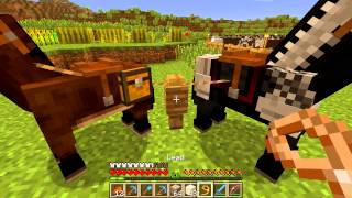 Ronar's Minecraft LP Episode 22 - Hee Haw