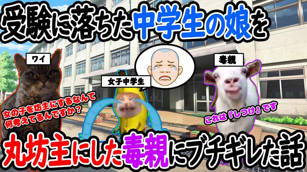 【ほぼ実話】受験に落ちた中学生の娘を丸坊主にした毒親にブチギレた話【猫ミーム】【猫マニ】