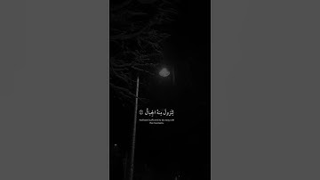 القارئ عبدالرحمن مسعد 🍂🍁 سورة إبراهيم 🍂🍁