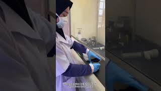 SCES 3292 TASK 2 PRACTICAL