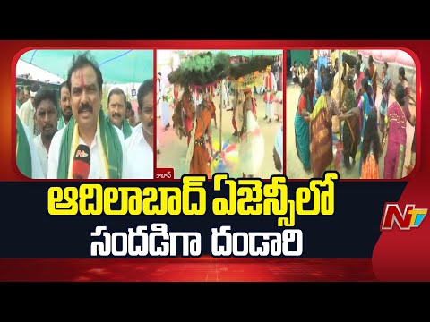 Dandari Festival : ఆదిలాబాద్ ఏజెన్సీలో దండారి సంబరాలు | Adilabad | NTV Telugu - NTVTELUGU