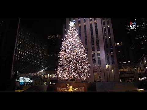 Video: Լավագույն տոնածառերը Նյու Յորքում տեսնելու համար