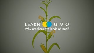 LEARN GMO 4-2: Why are there two kinds of food?