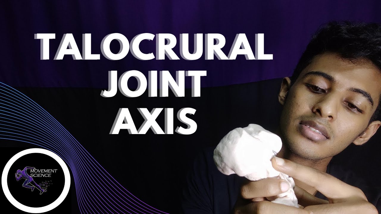 ANKLE AXIS JOINT FUNCTION (TALOCRURAL  JOINT)(ANKLE JOINT BIOMECHANICS)Physiotherapy Tutorials