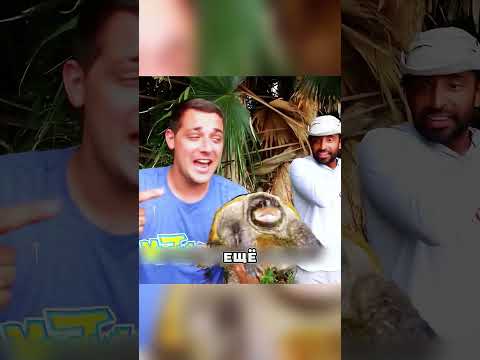 Мужик ВЫЛОВИЛ редкого карпа АЛЬБИНОСА 🤔🌊🐠