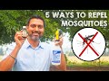 5 Natural Ways to Repel Mosquitoes