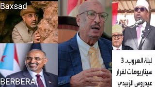 Deg deg caydarus ninki goni u gosadka  oo Berbera uso baxsaday iyo Faysal Ali Warabe vs Fiqi vs Ciro