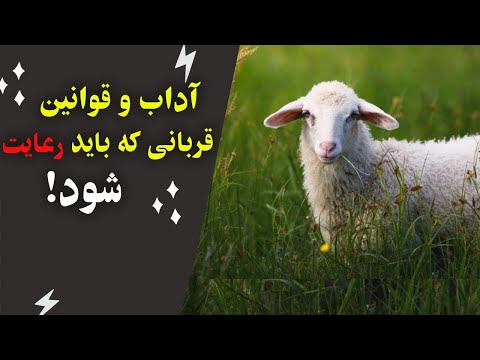 تصویری: شرایط همکاری