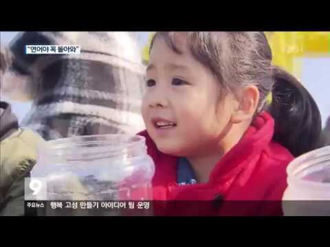[KBS강릉 뉴스] &quot;연어야 꼭 돌아와&quot; 치어 7백만 마리 방류