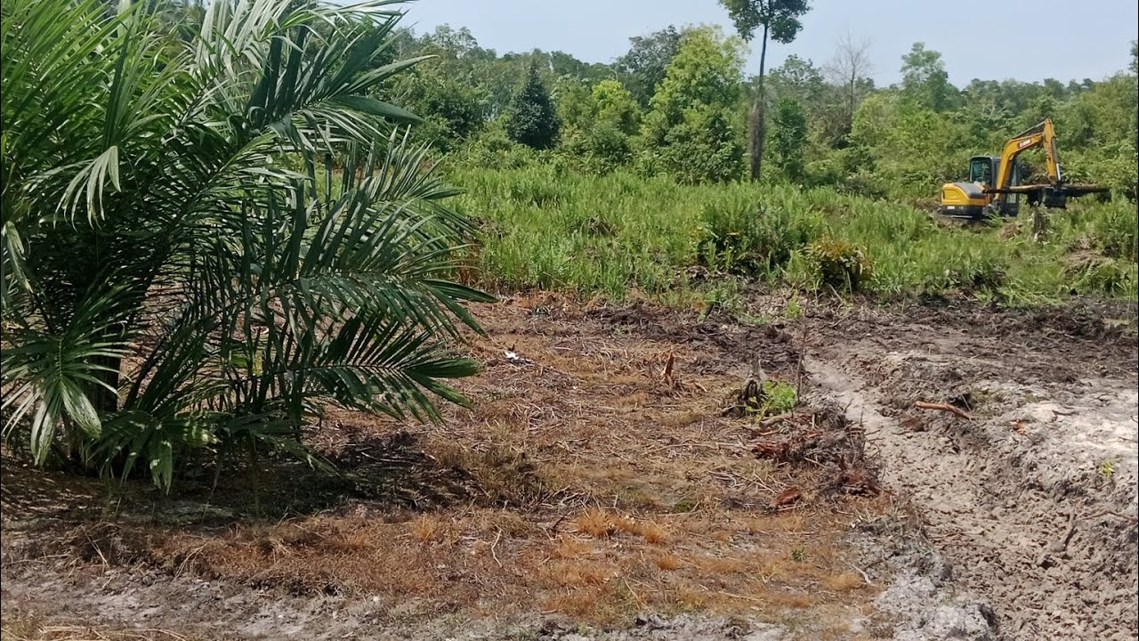 Masiih Mode Berjuang Kawan, Tetap Smangat Smua Butuh Proses..