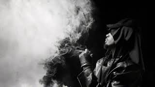 Playboi Carti  Cocaine Nose instrumental Slowed