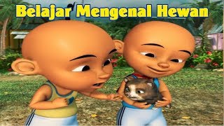 Belajar Mengenal Nama Hewan Bersama Upin Ipin  Lagu Anakanak