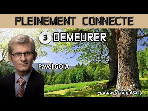 Pavel Goia-Pleinement Connecté 3-Demeurer