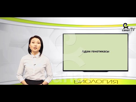 Video: Гаплоиддик клеткадагы хромосомалардын саны канча?