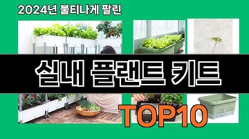 실내 플랜트 키트 2024 최강 쿠팡로켓배송 추천 Top 5