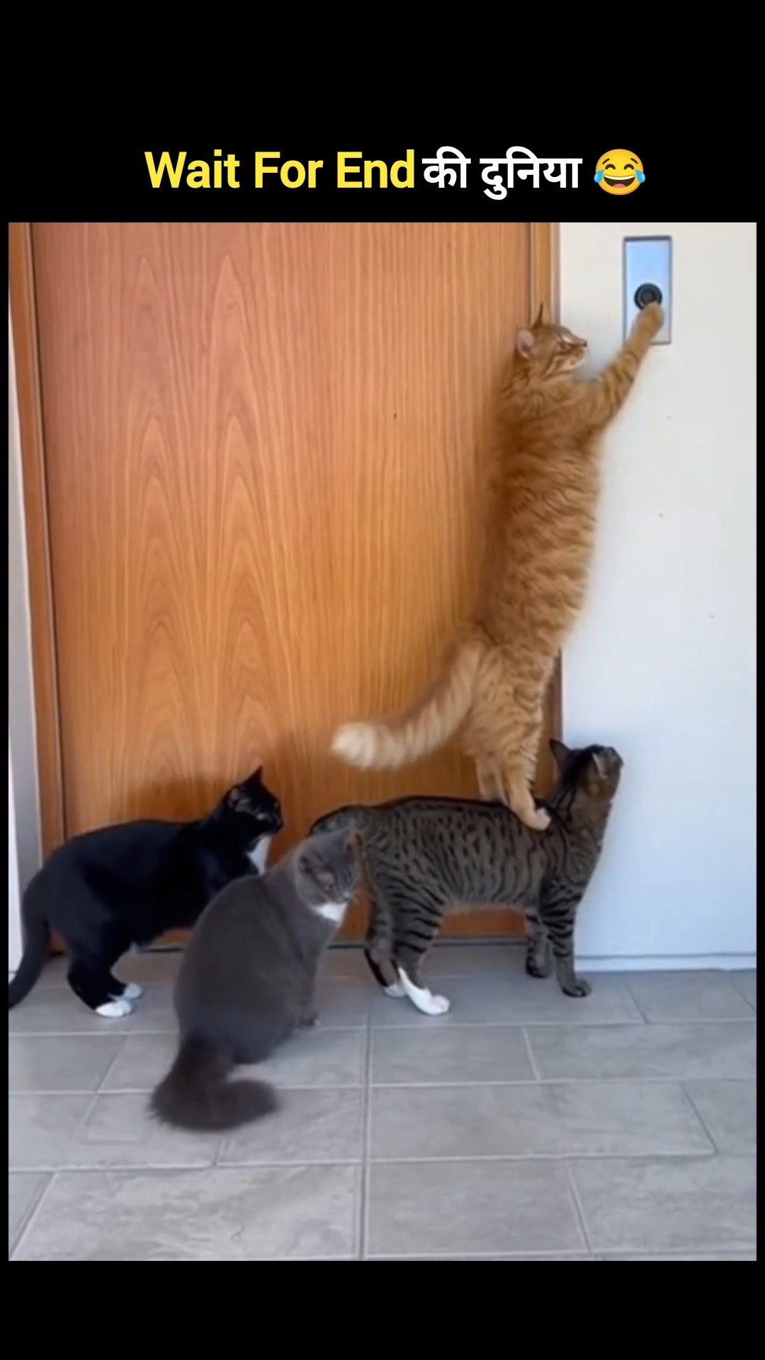 👌બેસ્ટ સ્ટેટ્સ📱 - ShareChat