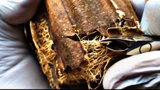 ASMR Ripe Noni Fruit Cutting & Peeling | Satisfying Nature Sounds screenshot 3