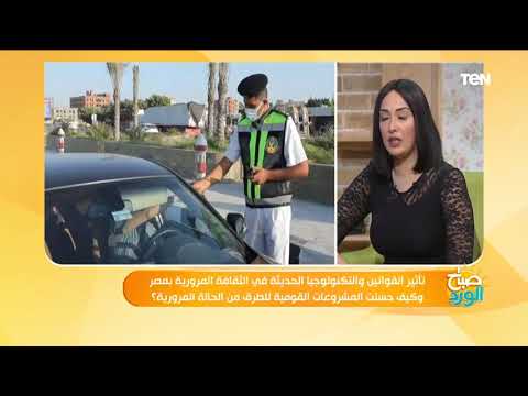 فيديو: حدود سرعة تحسس الطيور على الطرق