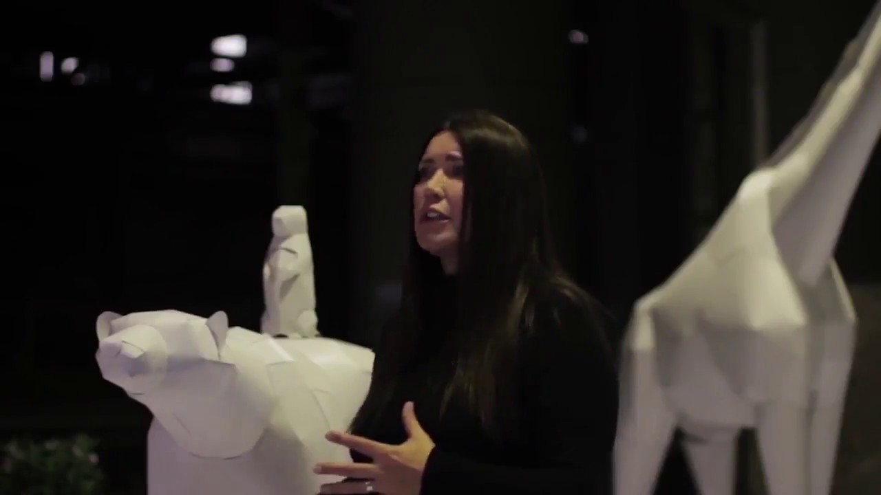 Its All a Beautiful Noise a New Show by Toni Childs