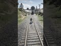 ountain Lion vs Train on Railway Track  Brutal RDR2 4K Moment #shorts