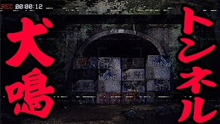 実在する心霊スポットへ・・・