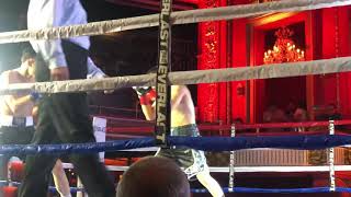 Boxer vs Brawler Check It Out