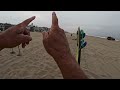 Beach metal detecting in LA county