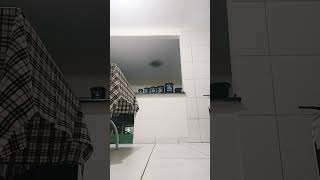 🤣😂😅😆fui. grava. e. minha.  cachoorra. atrapalhou