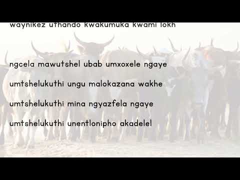 Isibaya Sikababa Lyrics